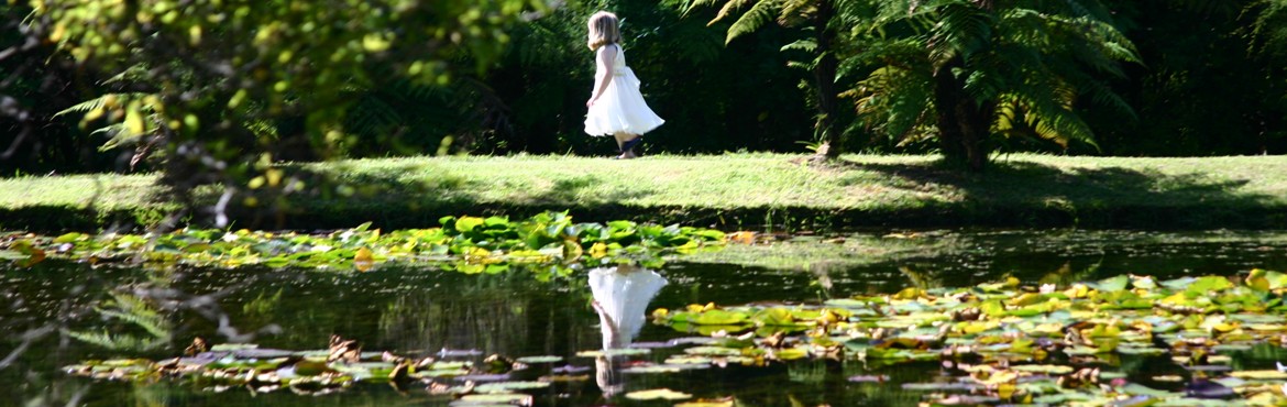 Koru at Rapaura Watergarden Thames NZ