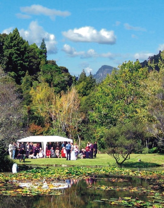 Koru at Rapaura Watergarden Thames NZ