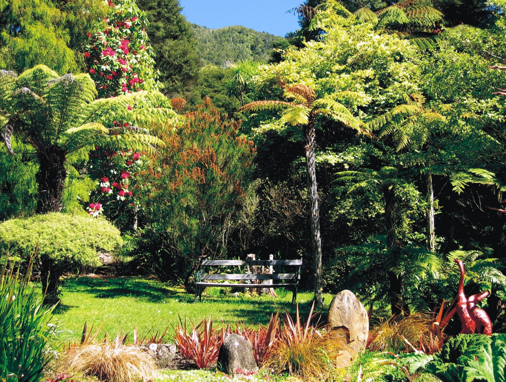 Koru at Rapaura Watergarden Thames NZ