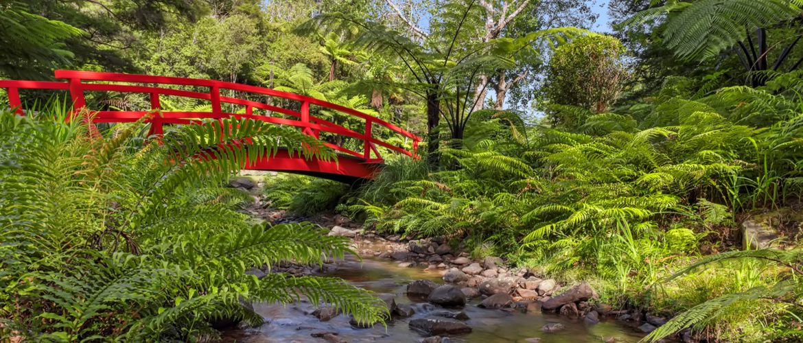 Rapaura Watergarden Thames NZ